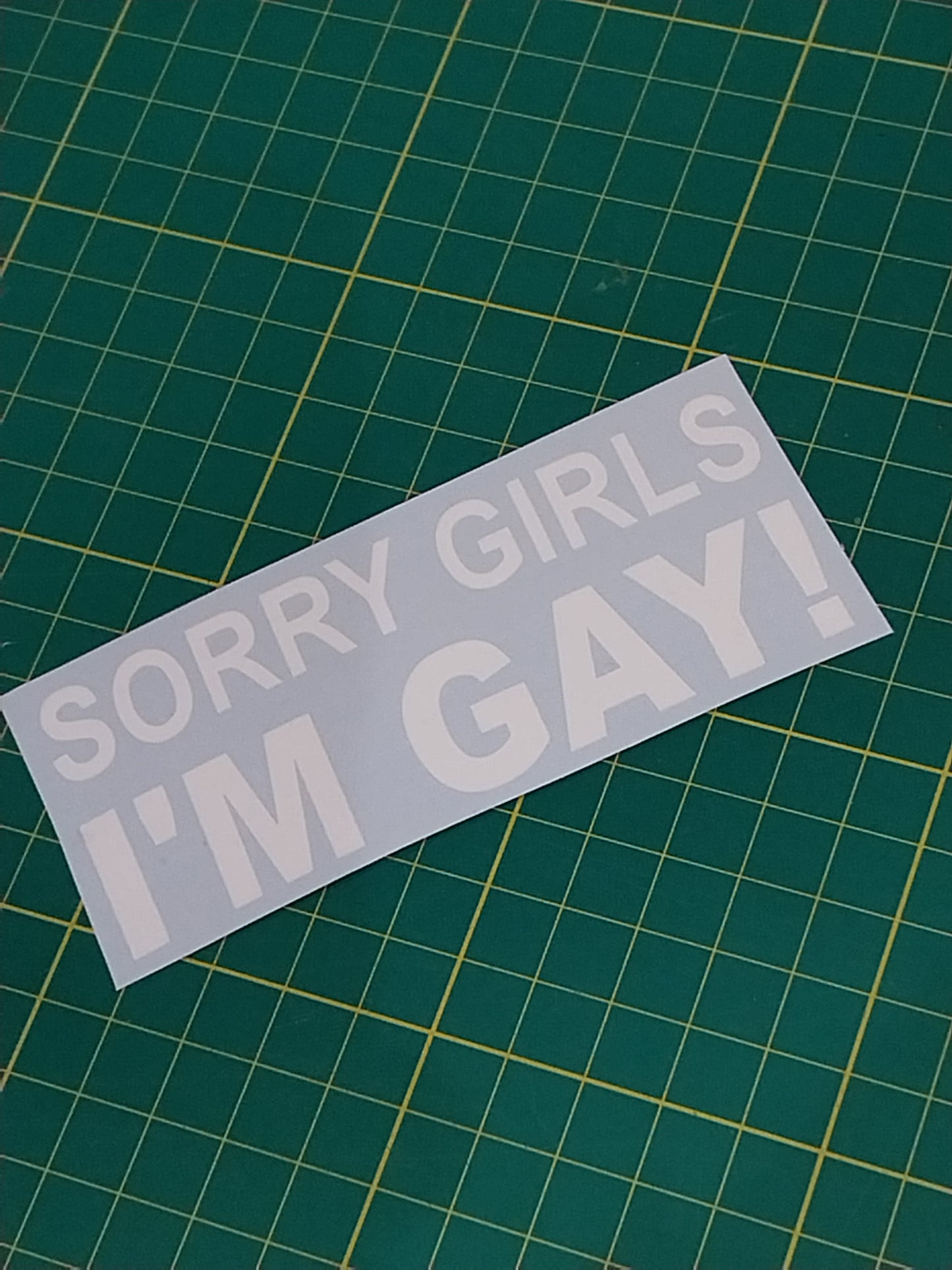 Sorry Girls I'm Gay Decal