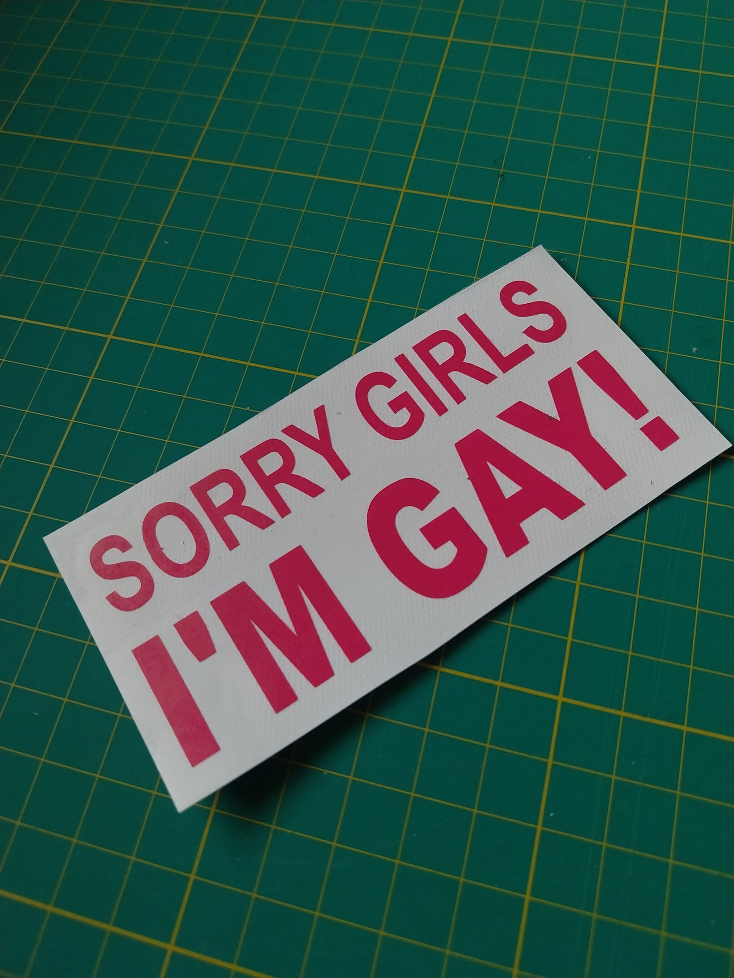 Sorry Girls I'm Gay Decal