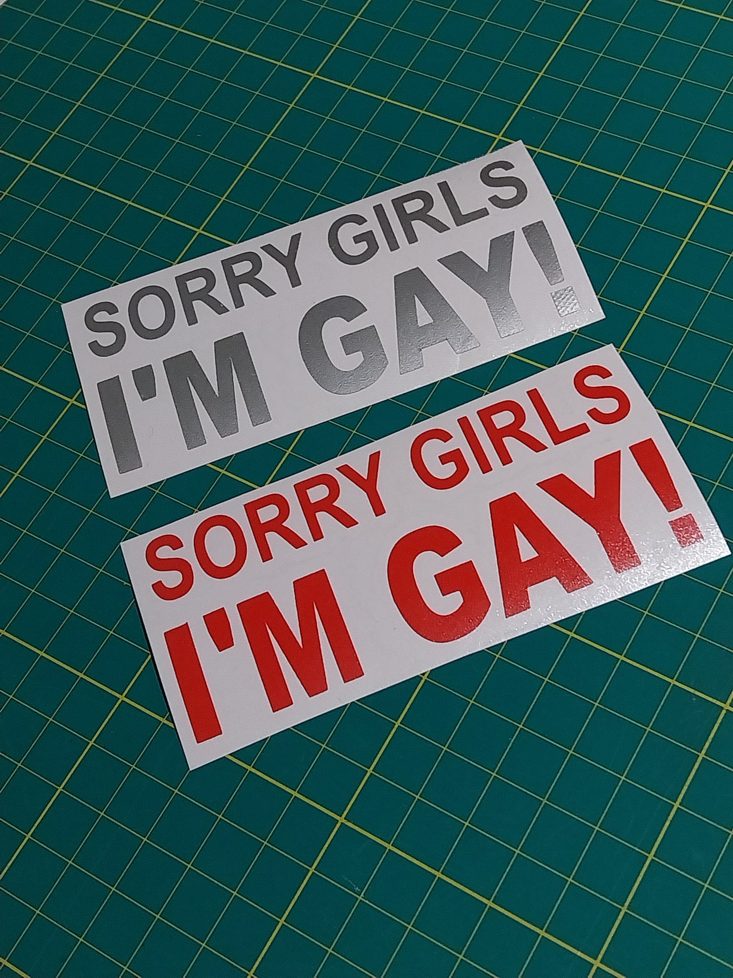 Sorry Girls I'm Gay Decal