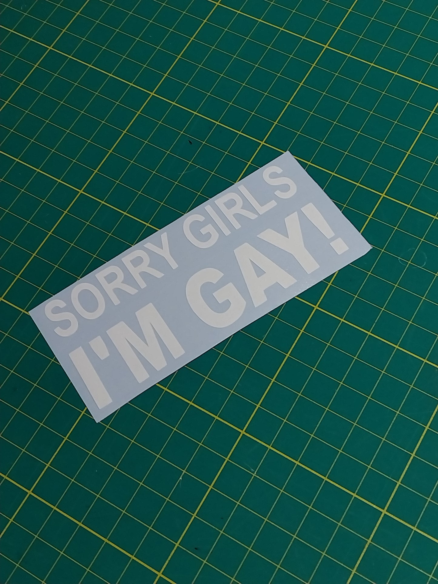 Sorry Girls I'm Gay Decal
