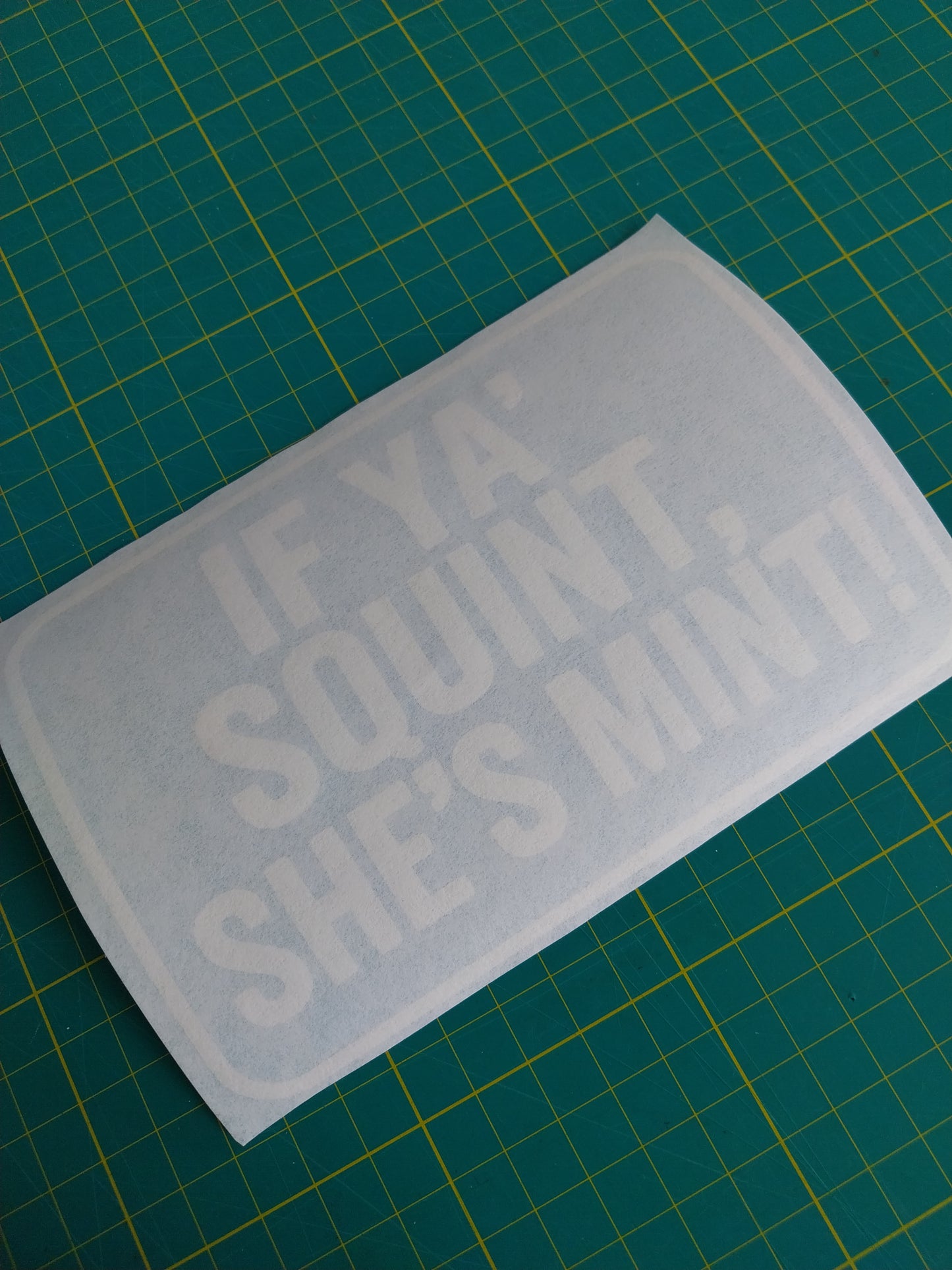 IF YA' SQUINT SHE'S MINT Decal