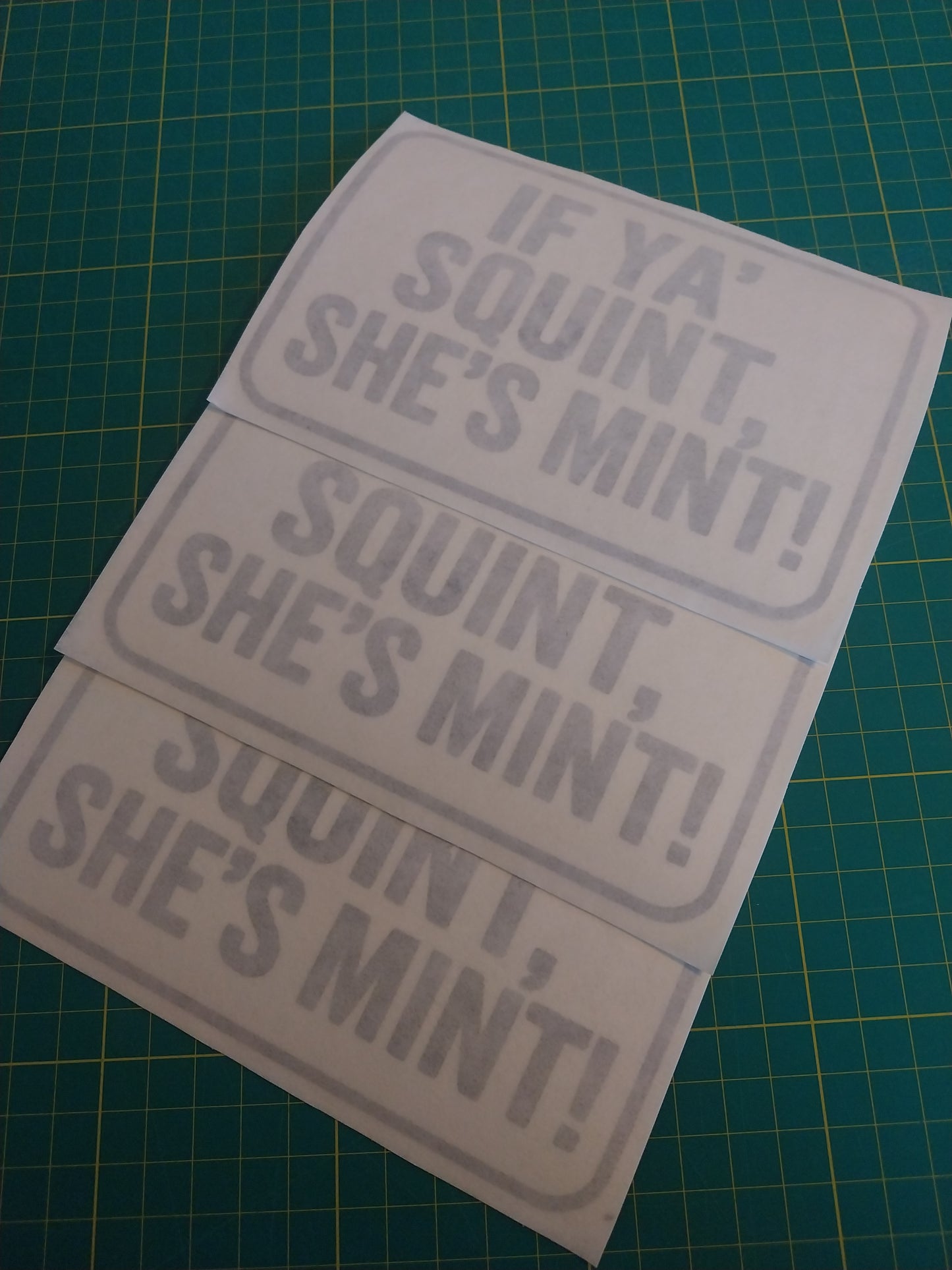 IF YA' SQUINT SHE'S MINT Decal