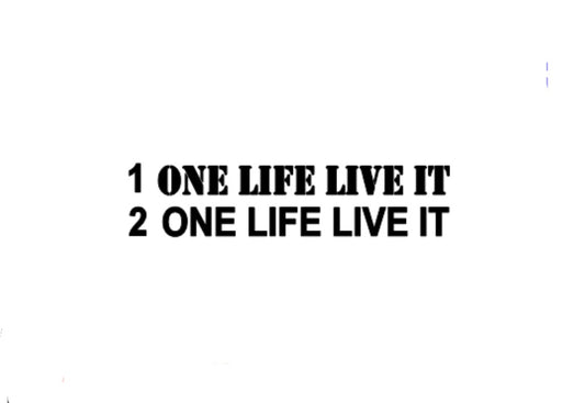 One Life Live It Decal