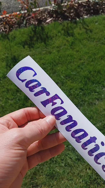 Car Fanatics Decal